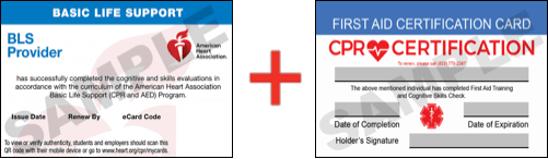 Sample American Heart Association AHA BLS CPR Card Certification and First Aid Certification Card from CPR Certification Pittsburgh