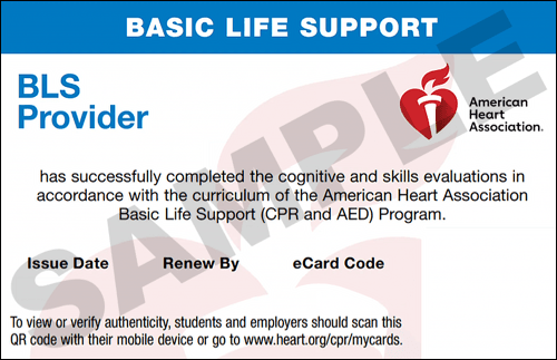CPR Classes Pittsburgh AHA BLS CPR CPR Certification Pittsburgh
